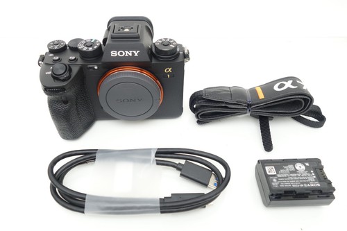 Sony ilce 50 megapixel - 50,