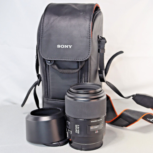 Sony 100 8 obiettivo - sony,